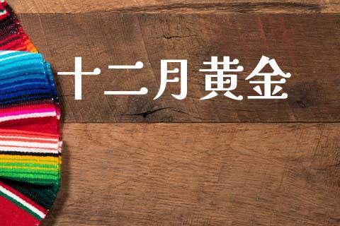 十二月黄金_https://www.fsyjjx.cn_期货研报_第1张
