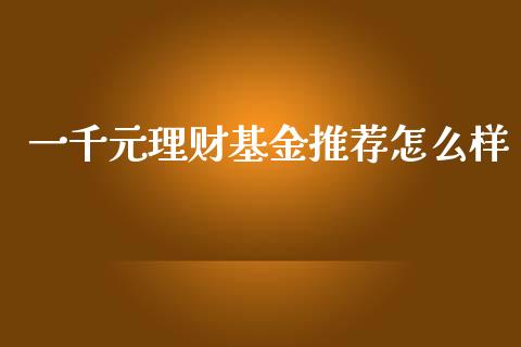一千元理财基金推荐怎么样_https://www.fsyjjx.cn_问财精选_第1张