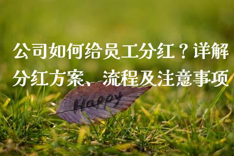 公司如何给员工分红？详解分红方案、流程及注意事项_https://www.fsyjjx.cn_股市分析_第1张