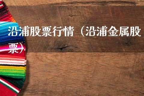 沿浦股票行情（沿浦金属股票）_https://www.fsyjjx.cn_股市分析_第1张