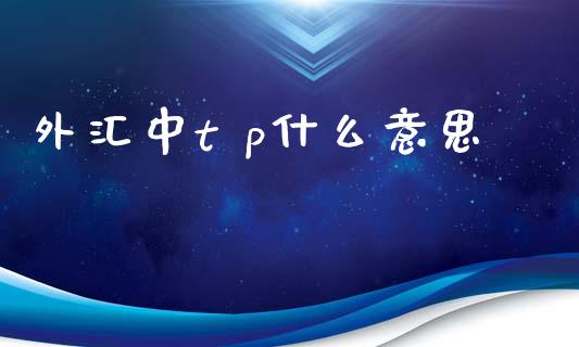 外汇中t p什么意思_https://www.fsyjjx.cn_理财资讯_第1张