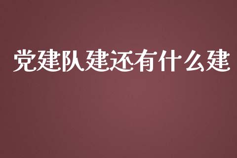 党建队建还有什么建_https://www.fsyjjx.cn_期货在线_第1张