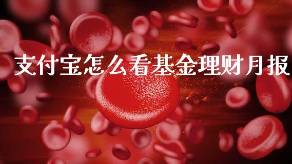 支付宝怎么看基金理财月报_https://www.fsyjjx.cn_理财资讯_第1张