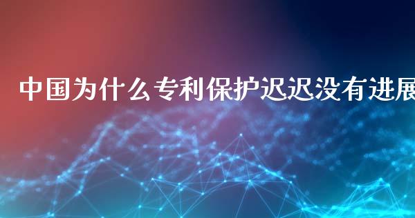 中国为什么专利保护迟迟没有进展_https://www.fsyjjx.cn_股市分析_第1张