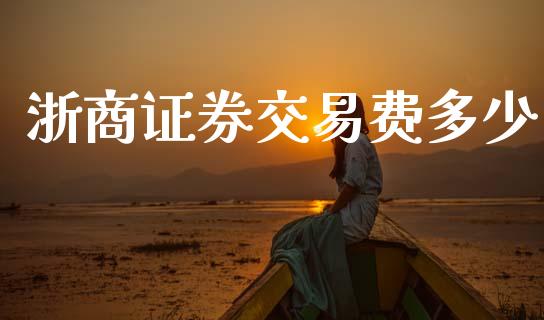 浙商证券交易费多少_https://www.fsyjjx.cn_理财资讯_第1张