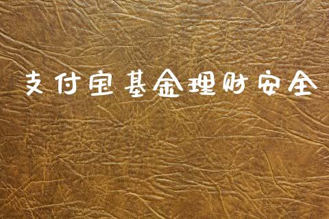 支付宝基金理财安全_https://www.fsyjjx.cn_问财精选_第1张