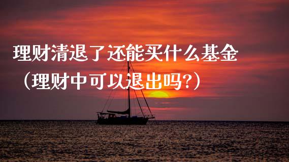 理财清退了还能买什么基金（理财中可以退出吗?）_https://www.fsyjjx.cn_问财精选_第1张
