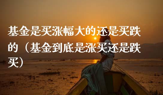 基金是买涨幅大的还是买跌的（基金到底是涨买还是跌买）_https://www.fsyjjx.cn_问财精选_第1张