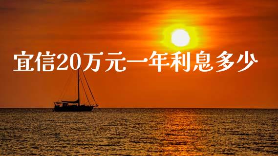 宜信20万元一年利息多少_https://www.fsyjjx.cn_股指期货_第1张