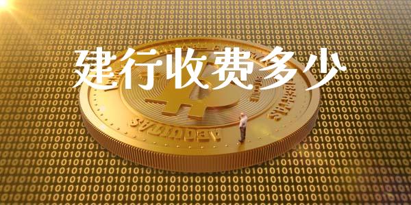 建行收费多少_https://www.fsyjjx.cn_股指期货_第1张