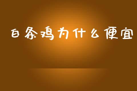 白条鸡为什么便宜_https://www.fsyjjx.cn_期货资讯_第1张