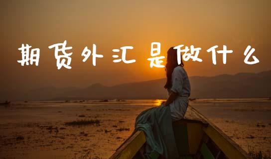 期货外汇是做什么_https://www.fsyjjx.cn_问财精选_第1张