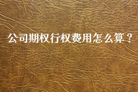 公司期权行权费用怎么算？_https://www.fsyjjx.cn_股市分析_第1张