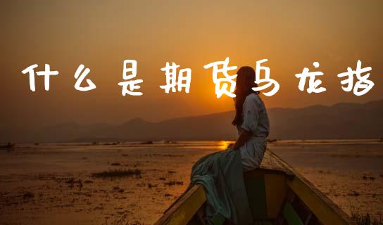 什么是期货乌龙指_https://www.fsyjjx.cn_股市分析_第1张