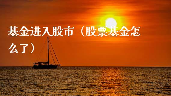 基金进入股市（股票基金怎么了）_https://www.fsyjjx.cn_问财精选_第1张