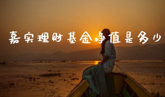 嘉实理财基金净值是多少_https://www.fsyjjx.cn_理财资讯_第1张