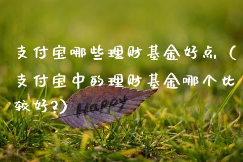 支付宝哪些理财基金好点（支付宝中的理财基金哪个比较好?）_https://www.fsyjjx.cn_问财精选_第1张