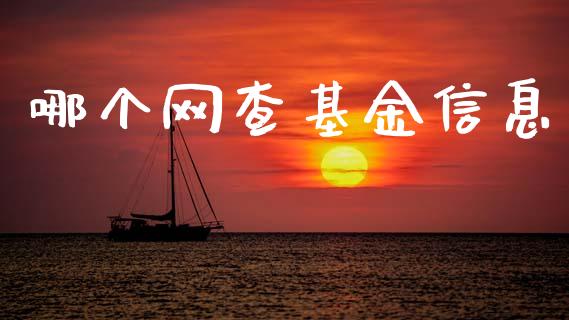 哪个网查基金信息_https://www.fsyjjx.cn_股票指导_第1张