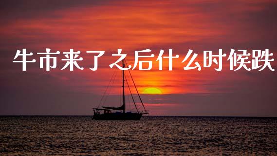 牛市来了之后什么时候跌_https://www.fsyjjx.cn_期货研报_第1张