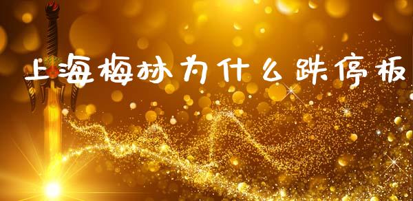 上海梅林为什么跌停板_https://www.fsyjjx.cn_问财精选_第1张