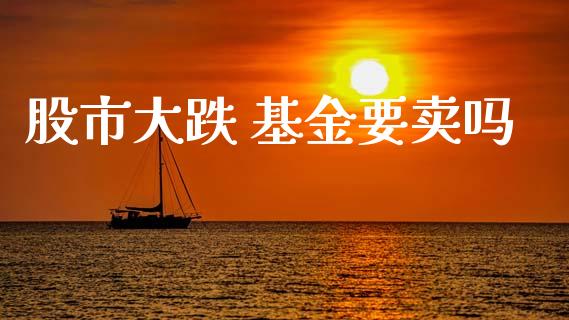 股市大跌 基金要卖吗_https://www.fsyjjx.cn_理财资讯_第1张