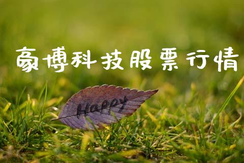 豪博科技股票行情_https://www.fsyjjx.cn_股票指导_第1张