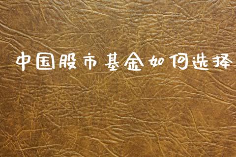 中国股市基金如何选择_https://www.fsyjjx.cn_问财精选_第1张