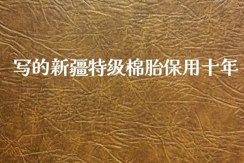 写的新疆特级棉胎保用十年_https://www.fsyjjx.cn_期货资讯_第1张