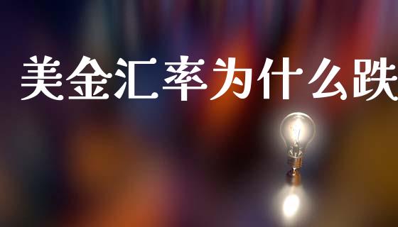 美金汇率为什么跌_https://www.fsyjjx.cn_股票指导_第1张