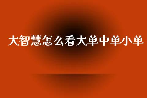 大智慧怎么看大单中单小单_https://www.fsyjjx.cn_问财精选_第1张