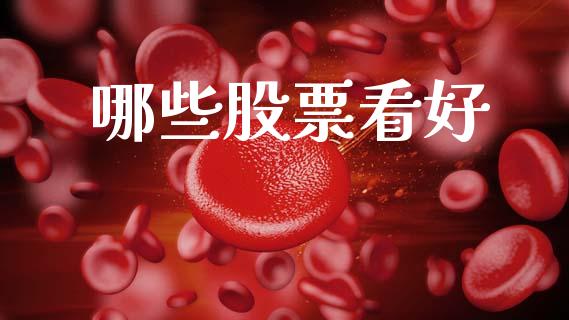 哪些股票看好_https://www.fsyjjx.cn_股指期货_第1张