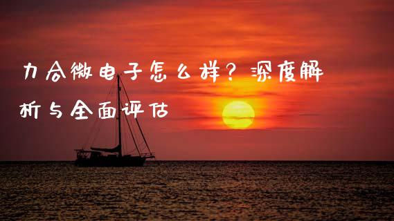 力合微电子怎么样？深度解析与全面评估_https://www.fsyjjx.cn_股市分析_第1张