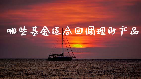 哪些基金适合回调理财产品_https://www.fsyjjx.cn_理财资讯_第1张