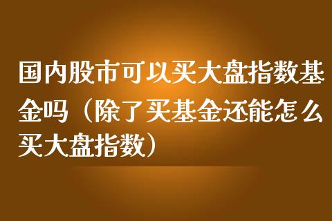 国内股市可以买大盘指数基金吗（除了买基金还能怎么买大盘指数）_https://www.fsyjjx.cn_理财资讯_第1张