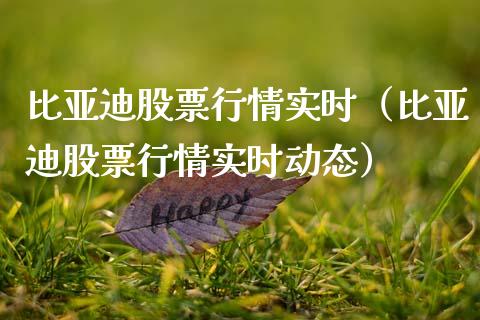 比亚迪股票行情实时（比亚迪股票行情实时动态）_https://www.fsyjjx.cn_股市分析_第1张