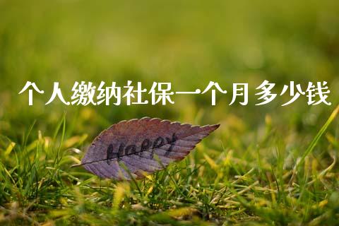个人缴纳社保一个月多少钱_https://www.fsyjjx.cn_理财资讯_第1张