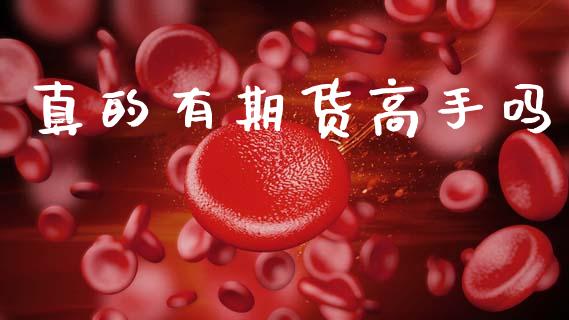 真的有期货高手吗_https://www.fsyjjx.cn_期货资讯_第1张