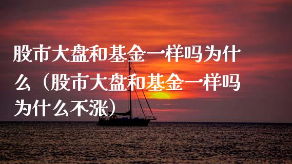 股市大盘和基金一样吗为什么（股市大盘和基金一样吗为什么不涨）_https://www.fsyjjx.cn_问财精选_第1张