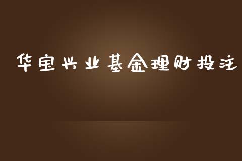 华宝兴业基金理财投注_https://www.fsyjjx.cn_问财精选_第1张