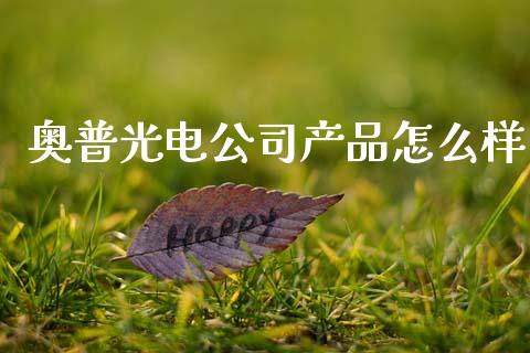 奥普光电公司产品怎么样_https://www.fsyjjx.cn_股票指导_第1张