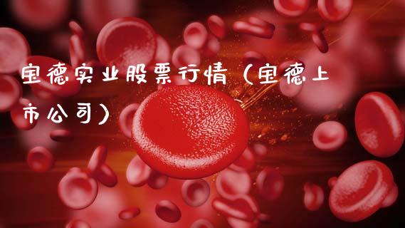 宝德实业股票行情（宝德上市公司）_https://www.fsyjjx.cn_股票指导_第1张