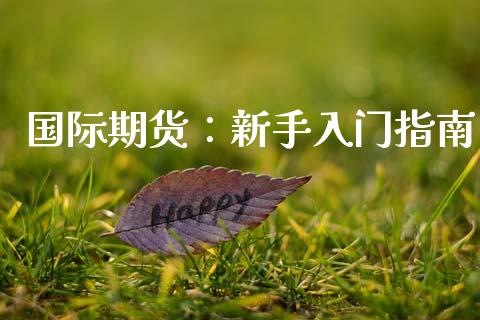 国际期货：新手入门指南_https://www.fsyjjx.cn_理财资讯_第1张