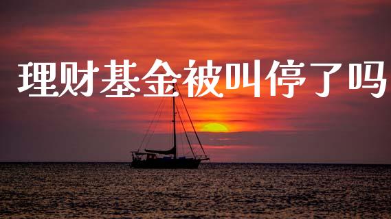 理财基金被叫停了吗_https://www.fsyjjx.cn_问财精选_第1张
