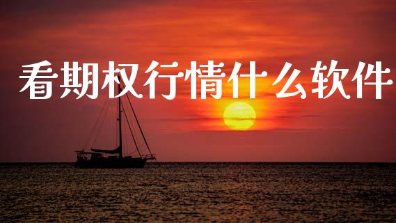 看期权行情什么软件_https://www.fsyjjx.cn_股市分析_第1张