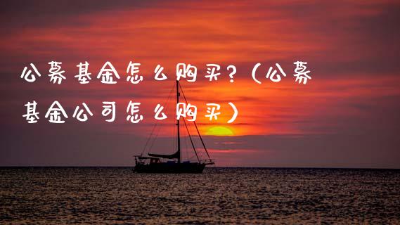 公募基金怎么购买?（公募基金公司怎么购买）_https://www.fsyjjx.cn_理财资讯_第1张