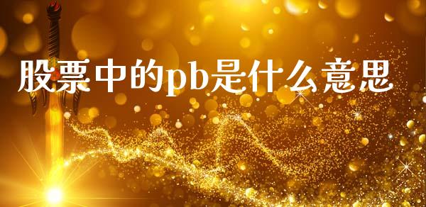 股票中的pb是什么意思_https://www.fsyjjx.cn_期货在线_第1张