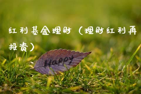 红利基金理财（理财红利再投资）_https://www.fsyjjx.cn_问财精选_第1张