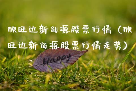 欣旺达新能源股票行情（欣旺达新能源股票行情走势）_https://www.fsyjjx.cn_股指期货_第1张