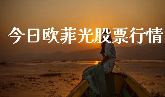 今日欧菲光股票行情_https://www.fsyjjx.cn_股市分析_第1张