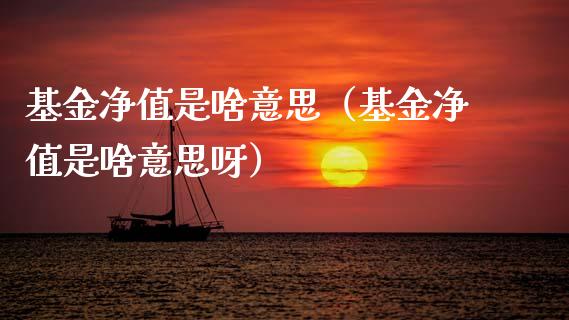 基金净值是啥意思（基金净值是啥意思呀）_https://www.fsyjjx.cn_问财精选_第1张